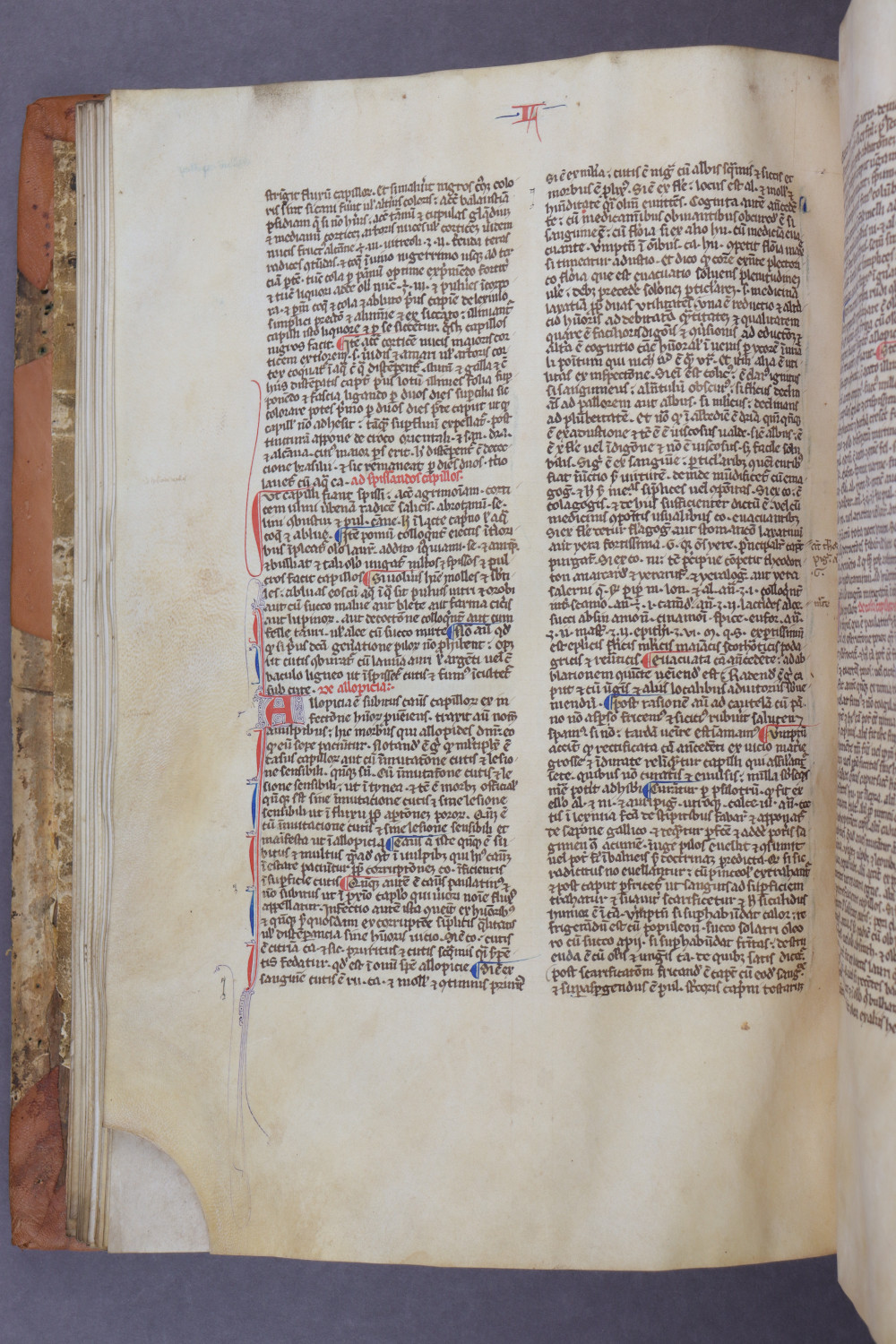 Folio 34 verso